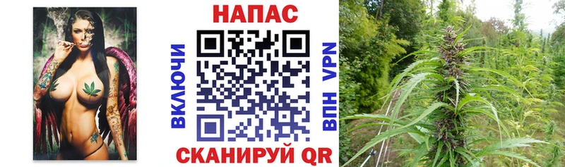 МАРИХУАНА Bruce Banner Нижнекамск